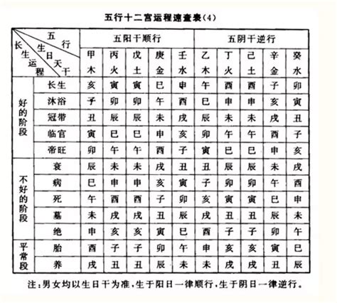 長生右手地支|八字算命基礎——十二長生